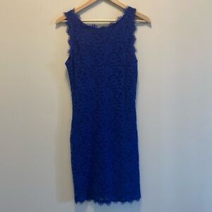 Jump Apparel Cobalt Blue Lace Fitted Dresses